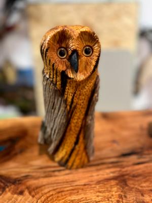 Small Barn Owl