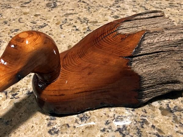Fence Post Duck: Polished Head/Neck/Check--Unfinished Tail