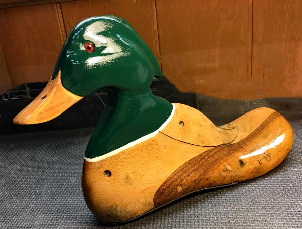 Fence Post Shuck Duck Completely Polished with Green Head/Neck/Light wood Beak shoe